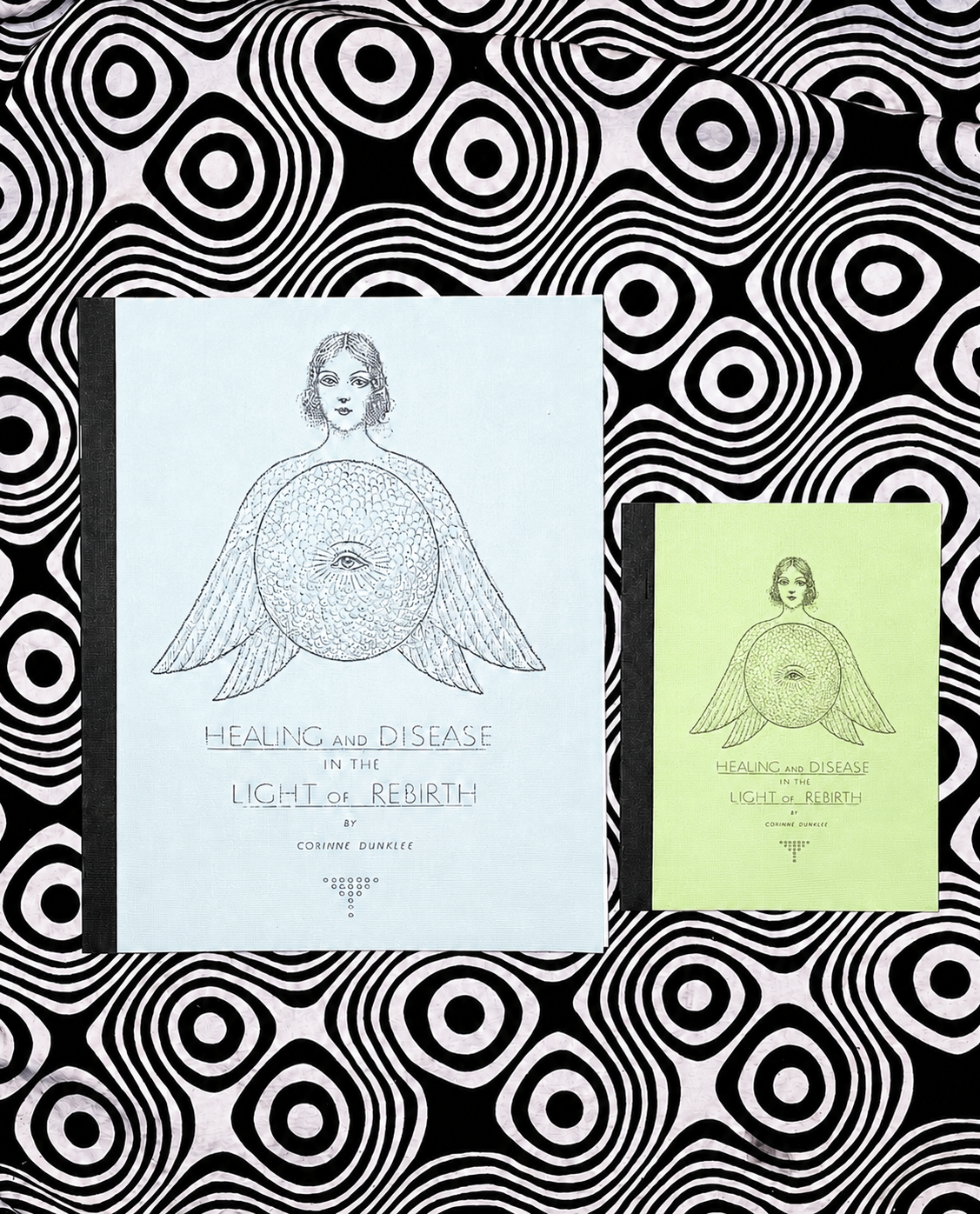 Healing and Disease in the Light of Rebirth — Corinne Dunklee