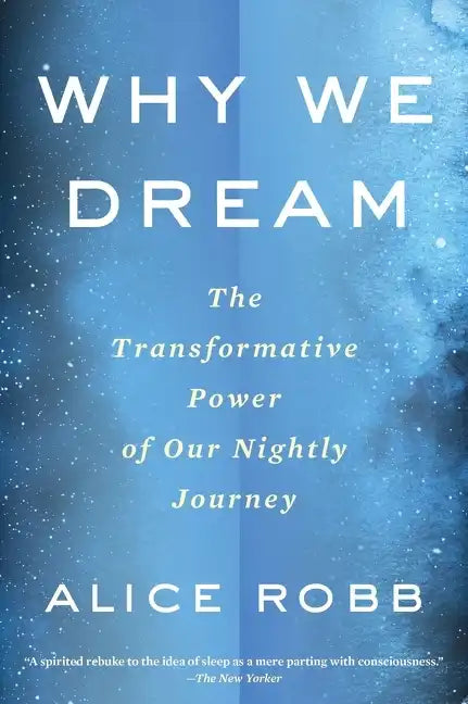 Why We Dream: The Transformative Power of Our Nightly Journey - Paperback