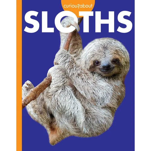 Curious about Sloths - Paperback