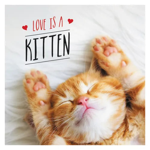 Love Is a Kitten: A Cat-Tastic Celebration of the World's Cutest Kittens - Hardcover