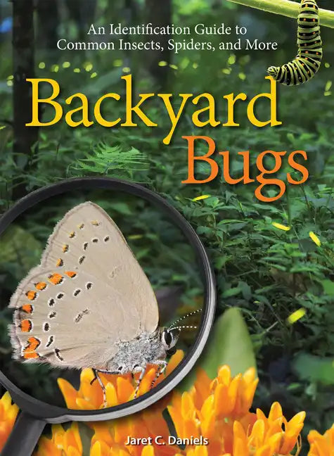 Backyard Bugs: An Identification Guide to Common Insects, Spiders, and More - Paperback