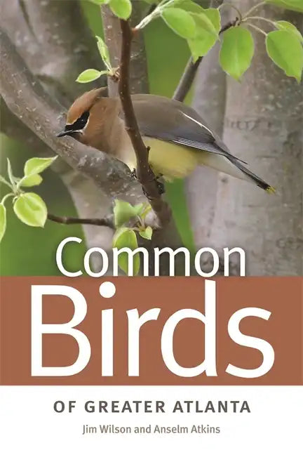 Common Birds of Greater Atlanta - Paperback