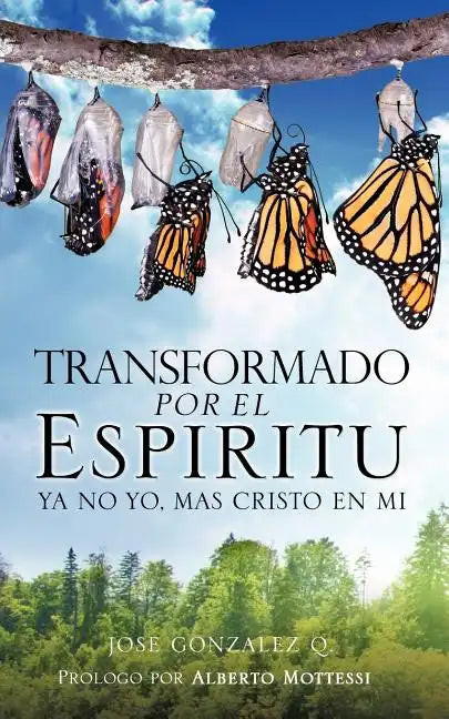 Transformado Por El Espiritu - Paperback