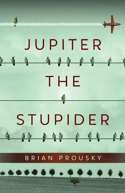 Jupiter the Stupider - Paperback