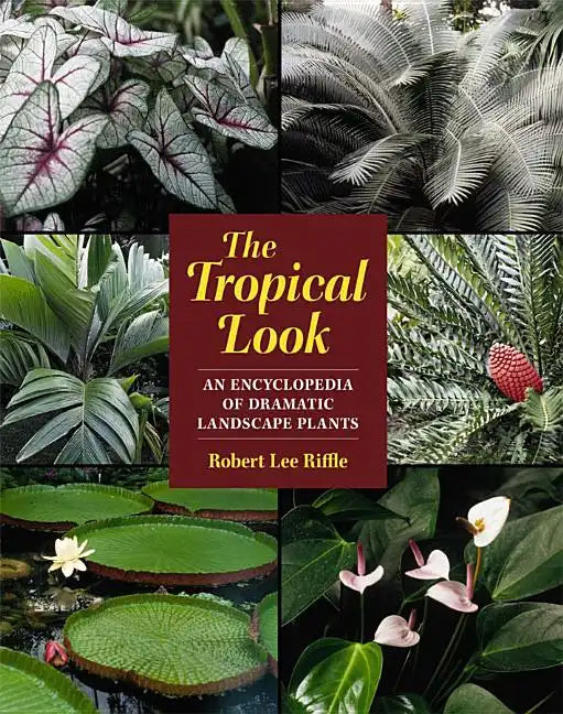 The Tropical Look: An Encyclopedia of Dramatic Landscape Plants - Paperback