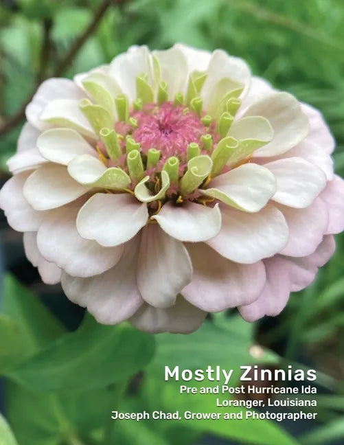 Mostly Zinnias: Flower Photos Pre and Post Hurricane Ida - Paperback