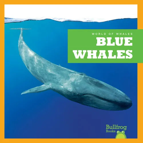 Blue Whales - Paperback