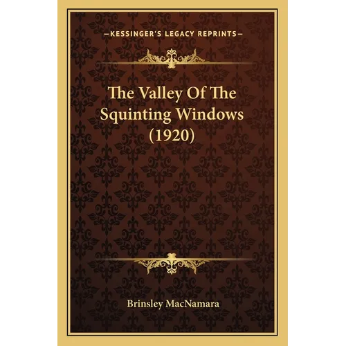 The Valley Of The Squinting Windows (1920) - Paperback
