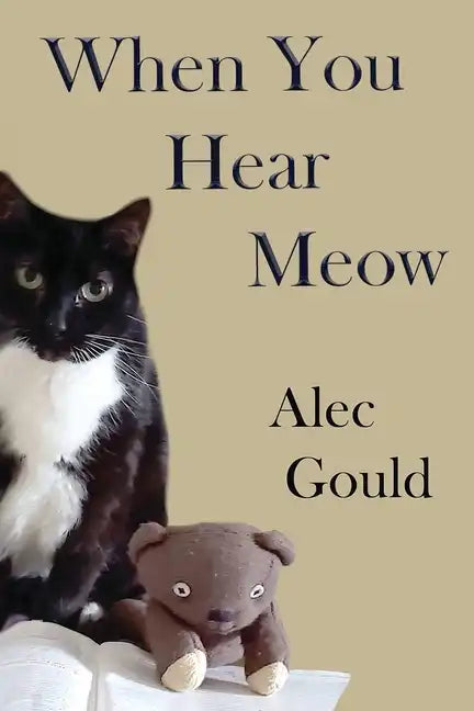 When You Hear Meow - Paperback
