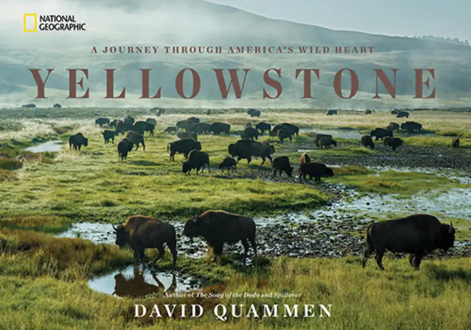 Yellowstone: A Journey Through America's Wild Heart - Hardcover