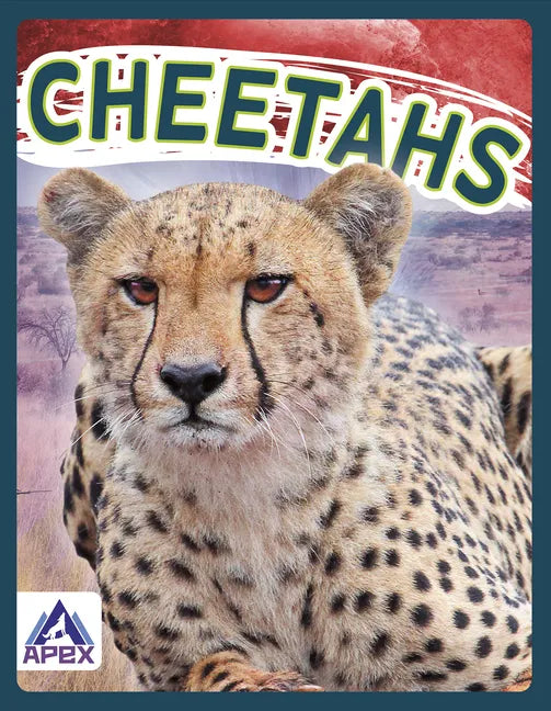 Cheetahs - Library Binding