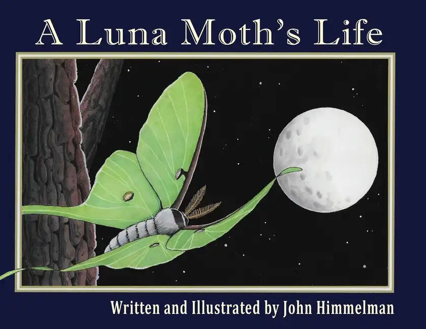 A Luna Moth's Life - Paperback