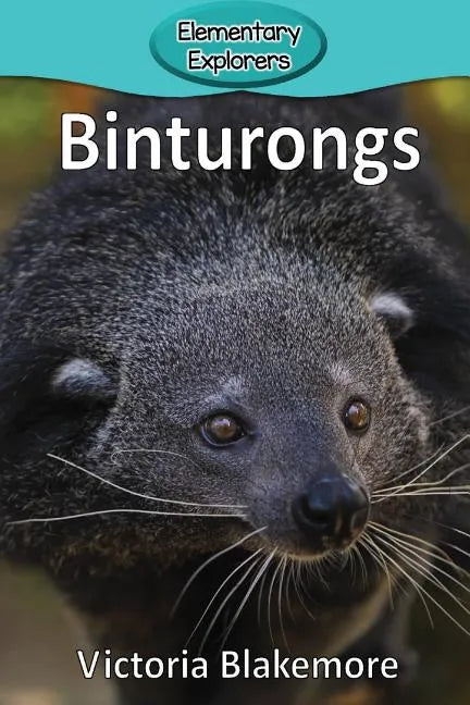 Binturongs - Paperback