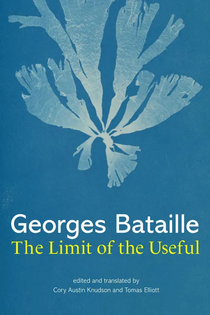 The Limit of the Useful - Hardcover
