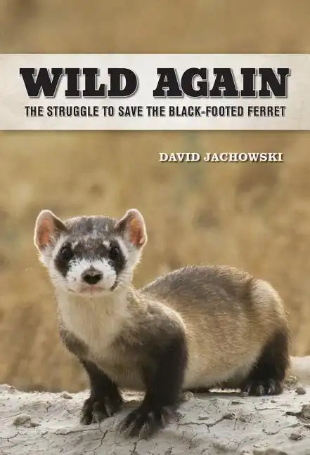 Wild Again: The Struggle to Save the Black-Footed Ferret - Hardcover