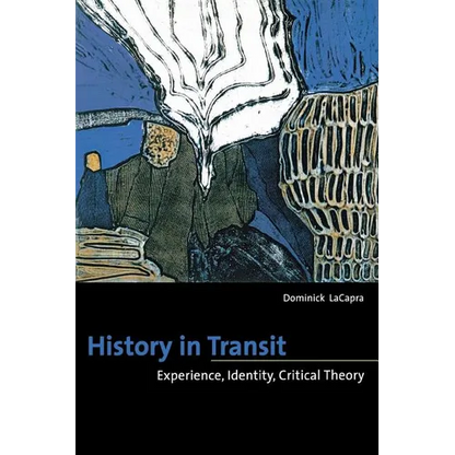 History in Transit: Experience, Identity, Critical Theory - Paperback