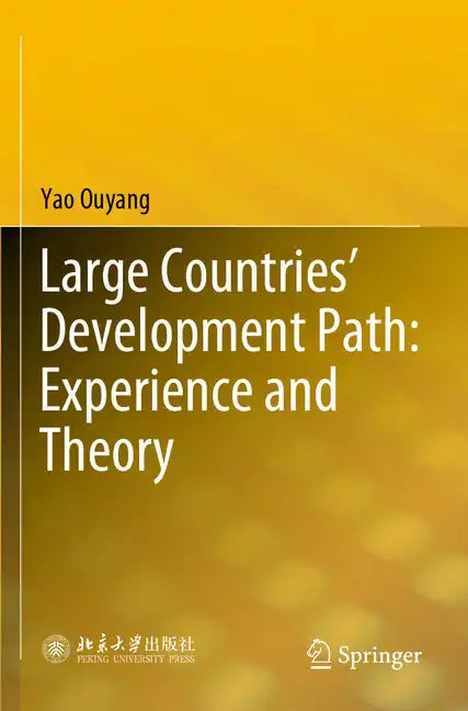 Large Countries' Development Path: Experience and Theory - Paperback