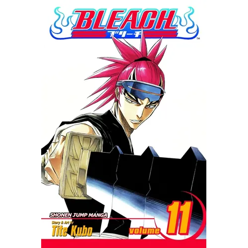 Bleach, Vol. 11: A Star and a Stray Dog - Paperback