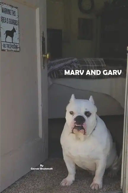 Marv and Garv - Paperback