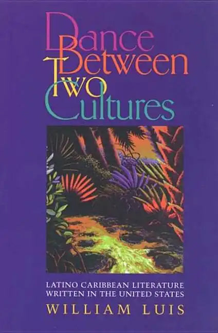 Dance Between Two Cultures: Reinterpreting Romanticism in Spain - Paperback