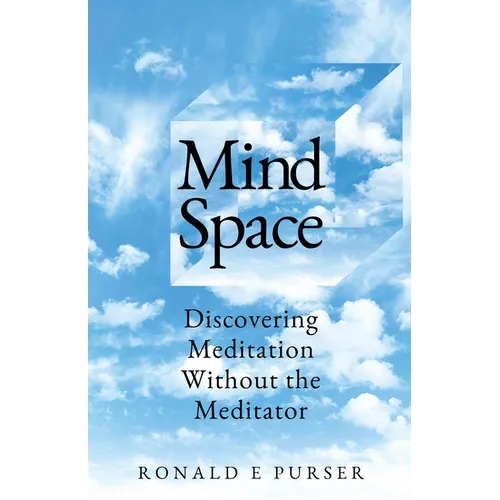 Mind Space: Discovering Meditation Without the Meditator - Paperback