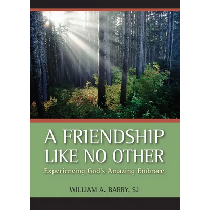 A Friendship Like No Other: Experiencing God's Amazing Embrace - Paperback