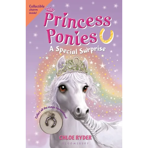 Princess Ponies 7: A Special Surprise - Paperback