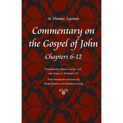 Commentary on the Gospel of John, Books 6-12 - Paperback