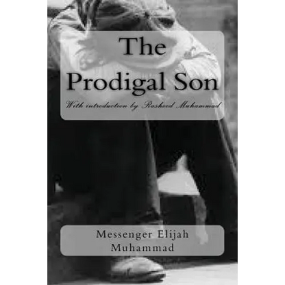 The Prodigal Son - Paperback