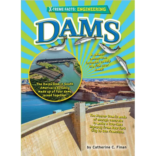 Dams - Library Binding