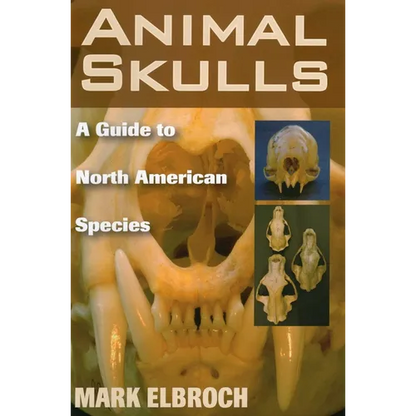 Animal Skulls - Paperback