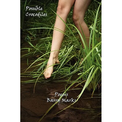 Possible Crocodiles - Paperback