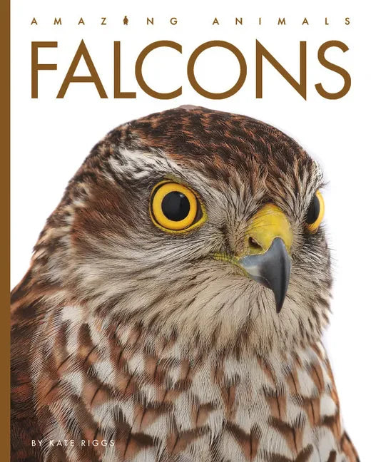 Falcons - Library Binding