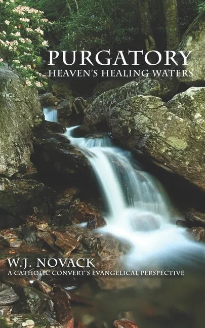 Purgatory: Heaven's Healing Waters - Paperback