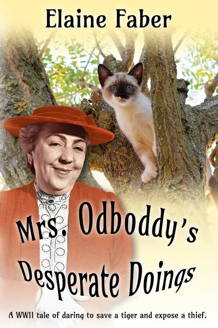 Mrs. Odboddy's Desperate Doings - Paperback