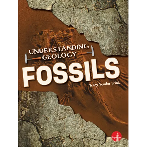 Fossils - Paperback
