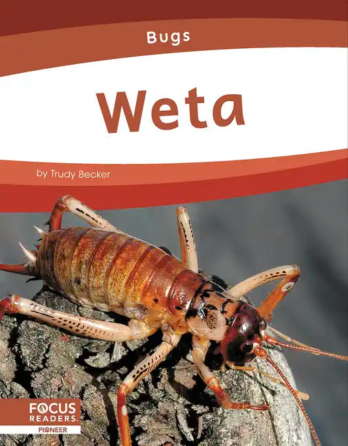 Weta - Library Binding