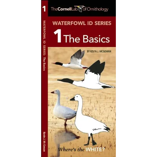 Waterfowl Id Series: The Basics - Paperback