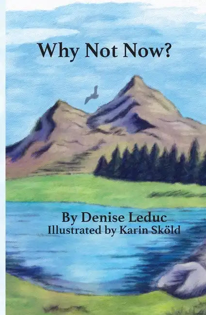 Why Not Now - Paperback