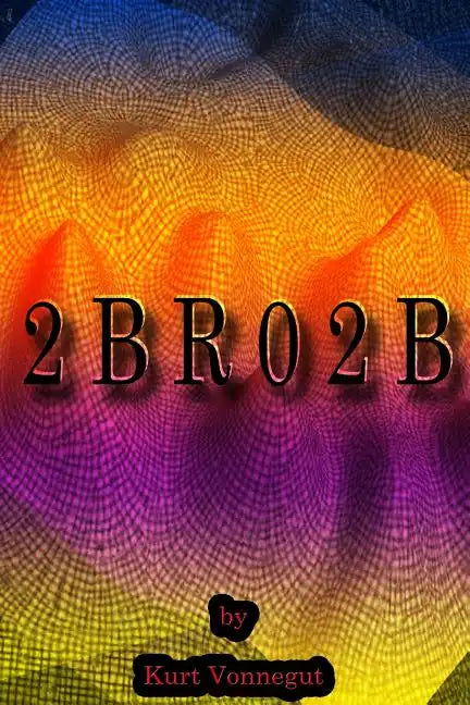 2bro2b - Paperback