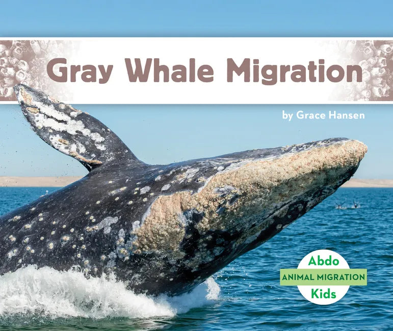 Gray Whale Migration - Library Binding