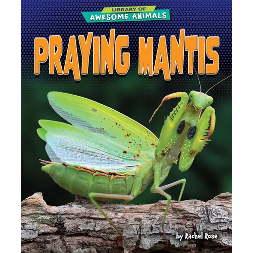 Praying Mantis - Paperback
