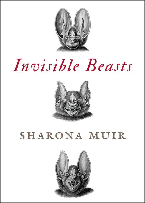 Invisible Beasts: Tales of the Animals That Go Unseen Among Us - Paperback