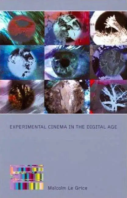 Experimental Cinema in the Digital Age - Paperback