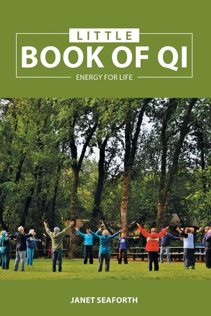 Little Book of Qi: Energy for Life - Paperback