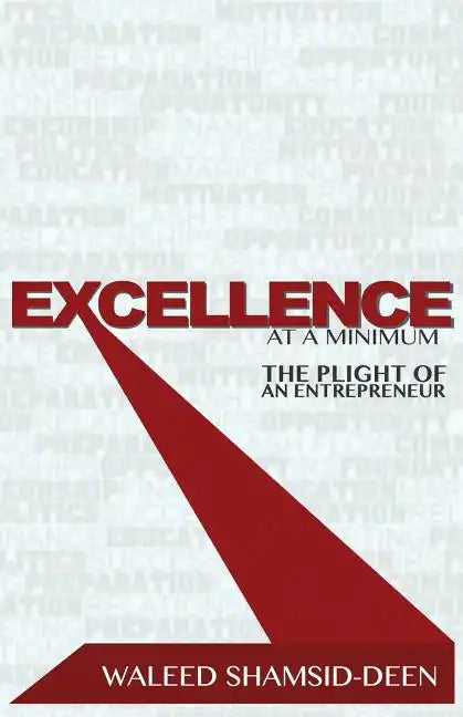 Excellence at a Minimum: The Plight of an Entreprenuer - Paperback