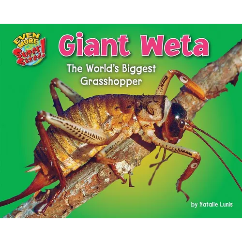 Giant Weta: The World's Biggest Grasshopper - Library Binding