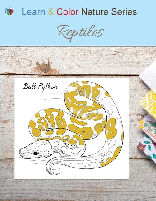 Reptiles - Paperback