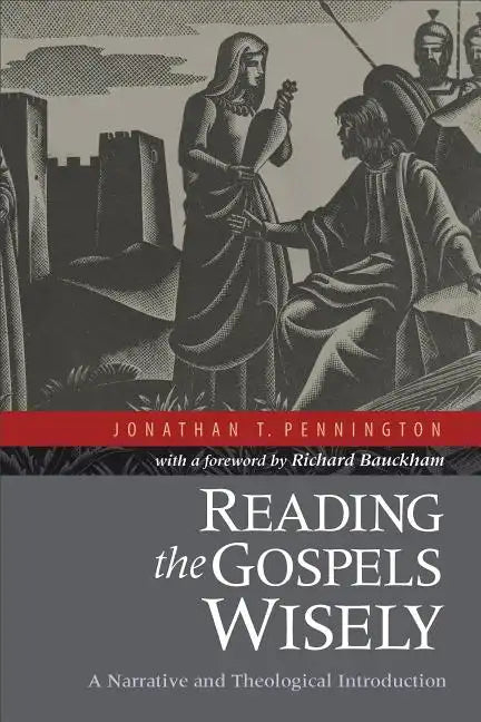 Reading the Gospels Wisely: A Narrative and Theological Introduction - Paperback