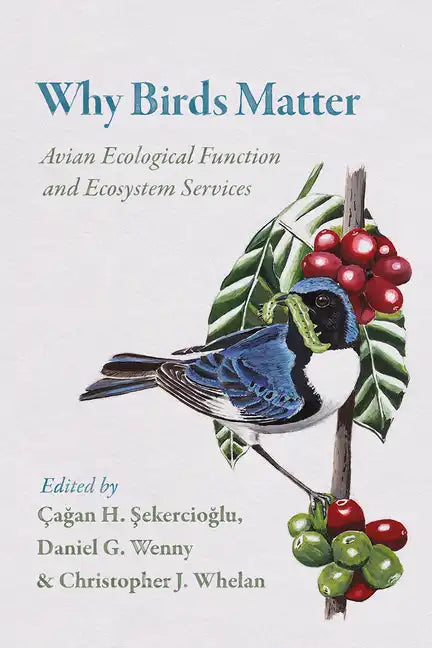 Why Birds Matter: Avian Ecological Function and Ecosystem Services - Paperback